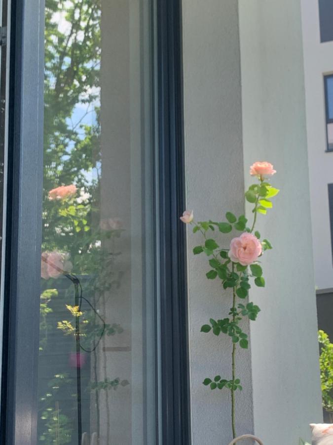 Garden Apartment Self Check-In - Bezkluczowy Dostep W 10 Minut O Kazdej Porze كراكوفيا المظهر الخارجي الصورة