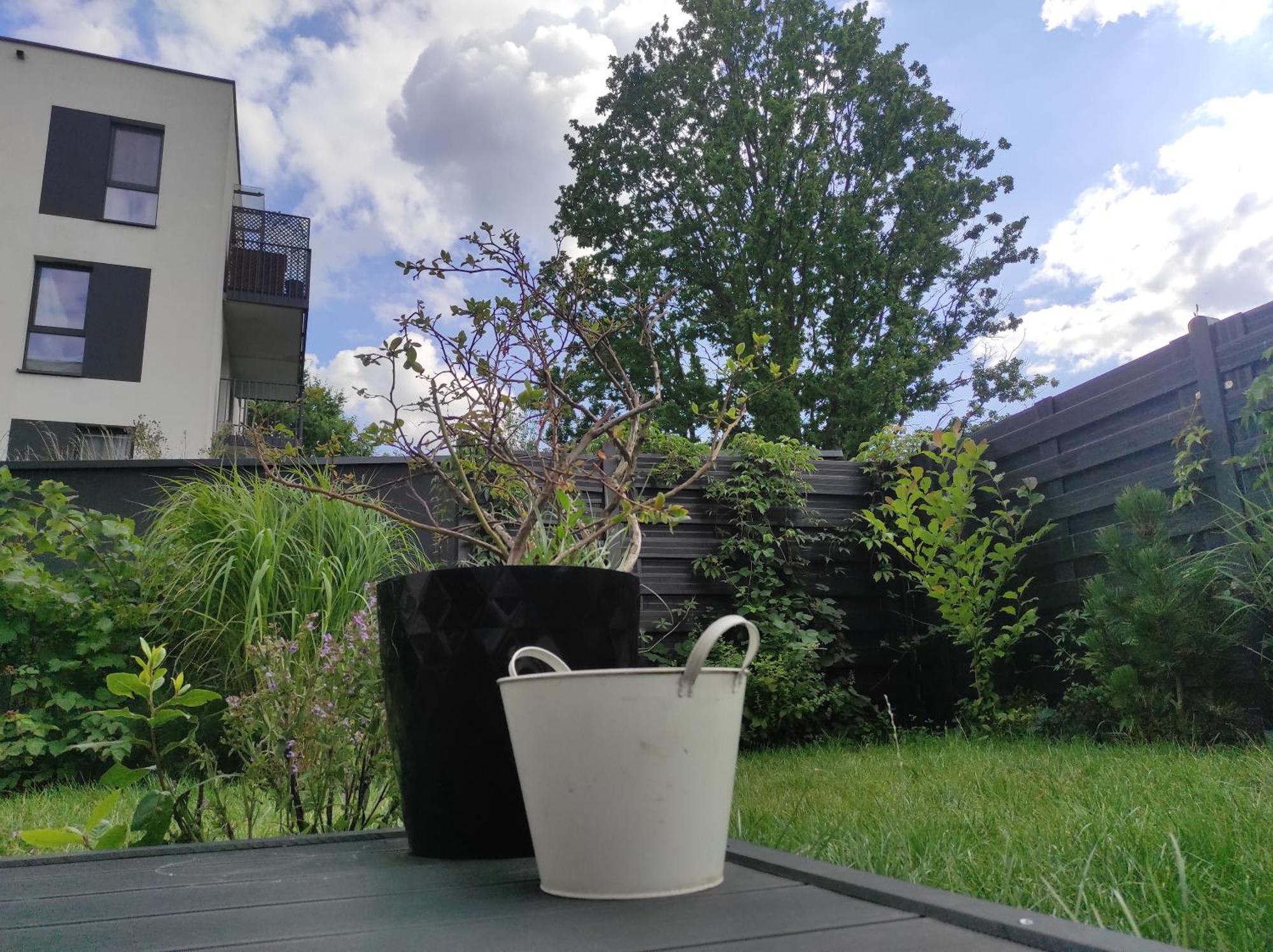 Garden Apartment Self Check-In - Bezkluczowy Dostep W 10 Minut O Kazdej Porze كراكوفيا المظهر الخارجي الصورة